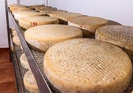 Imagen de archivo de quesos artesanales