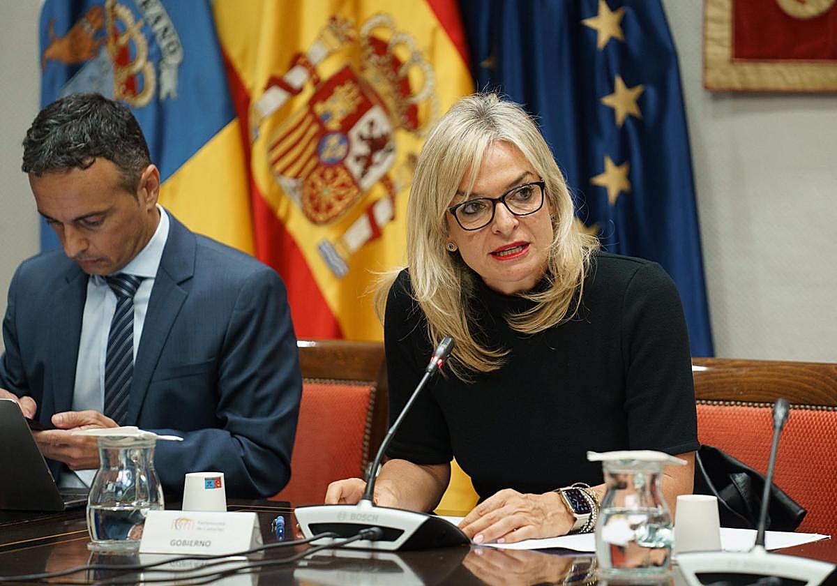 La consejera de Sanidad del Gobierno de Canarias, Esther Monzón, en la comisión parlamentaria de Presupuestos y Hacienda. EFE/Ramón de la Rocha.