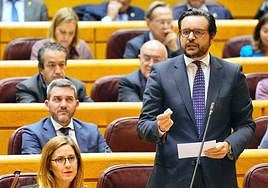 Sergio Ramos, Senador del del Partido Popular Gran Canaria, hoy en el Pleno del Senado.