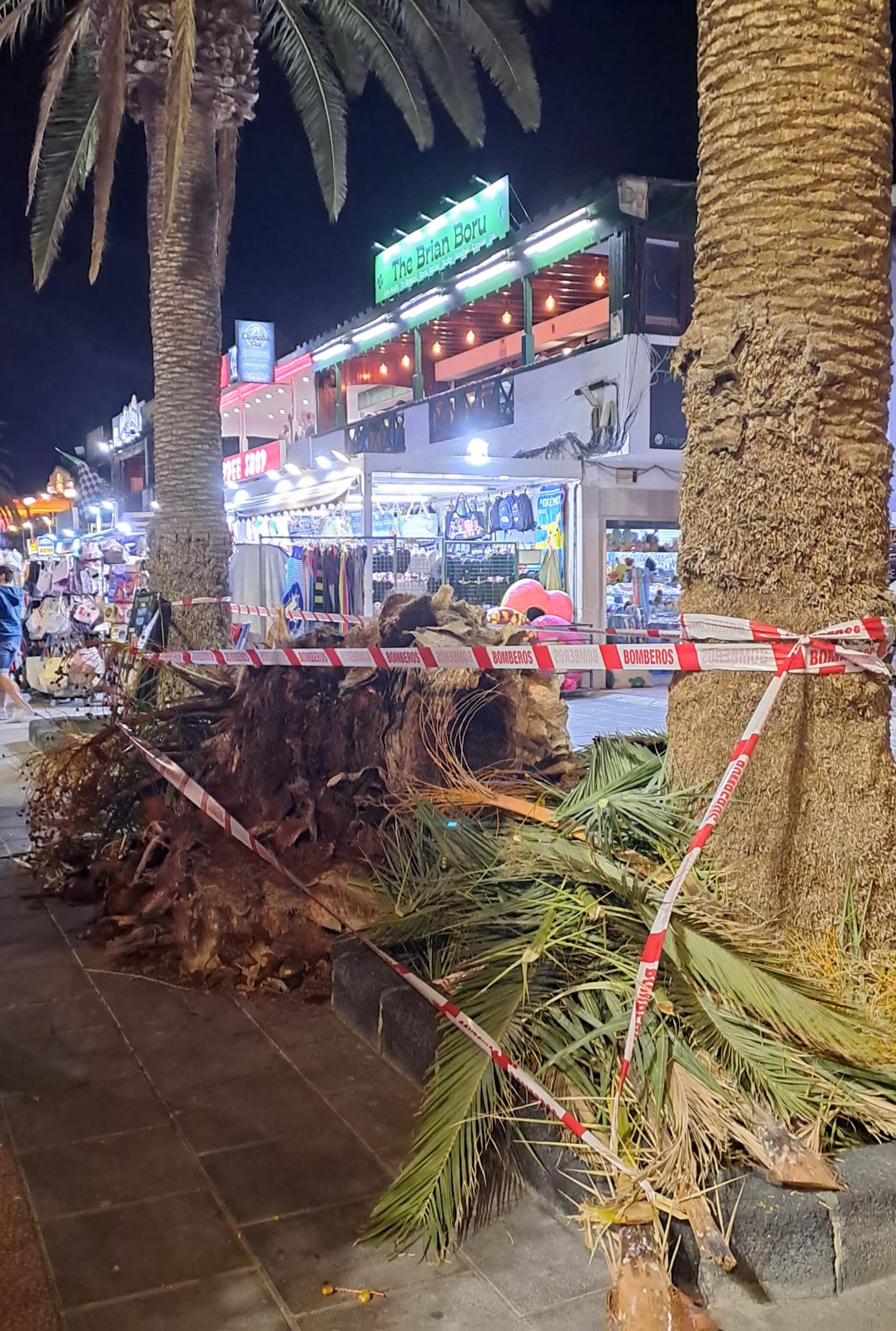 Cae una palmera sobre una mujer en Puerto del Carmen
