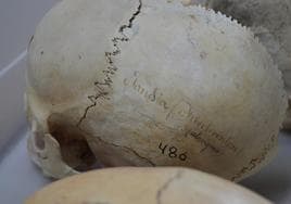 Cráneo localizado en Jandía, como puede leerse claramente.