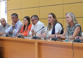 El grupo del PP en el Cabildo, con Claudio Gutiérrez como portavoz.