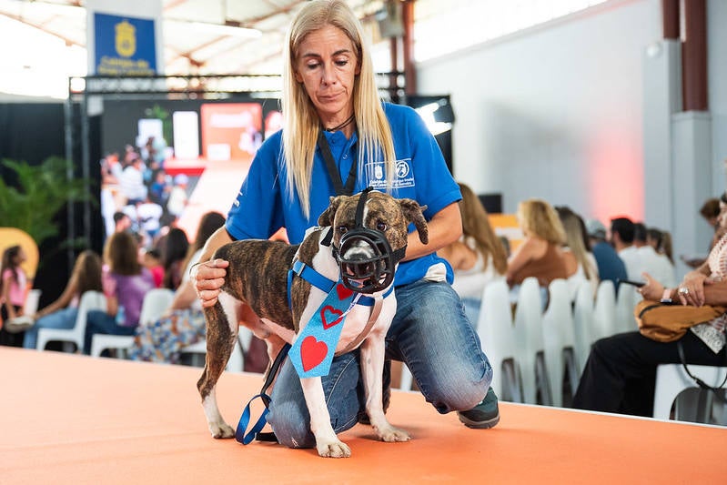El primer día de Animundo, en imágenes