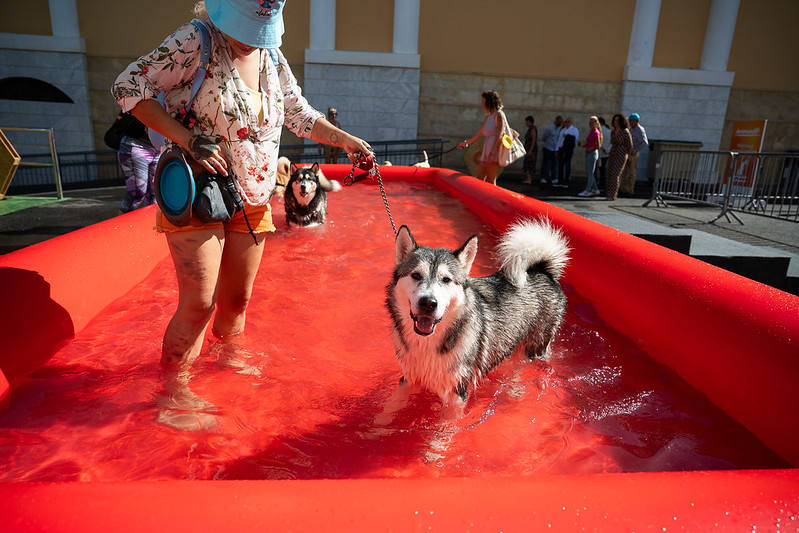 El primer día de Animundo, en imágenes