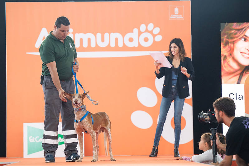 El primer día de Animundo, en imágenes