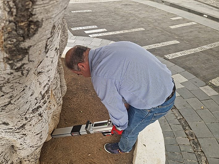 Uno de los técnicos aplicando el resistógrafo a uno de los laureles.