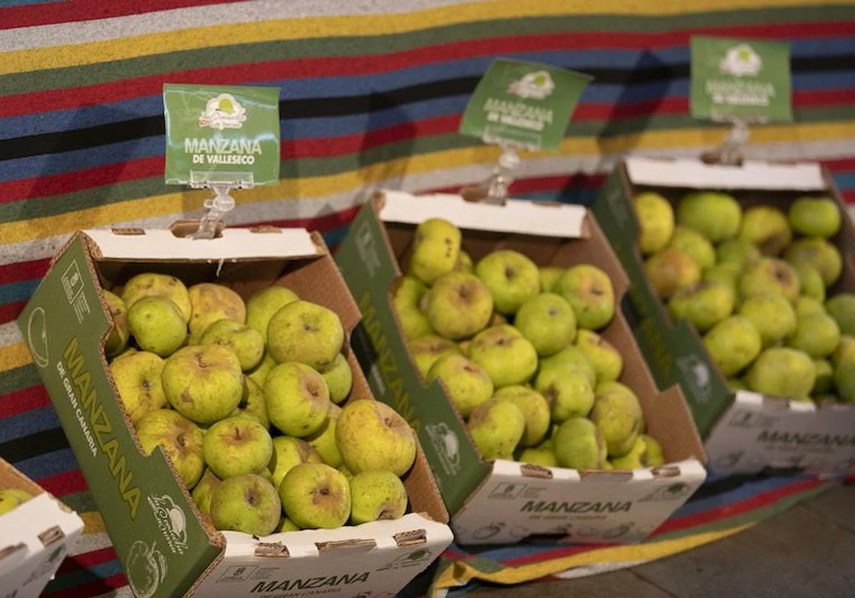 Valleseco produce 800 toneladas de manzanas y 46.000 litros de sidra