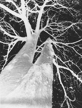 Una de las piezas de la muestra, en la galería S/T.