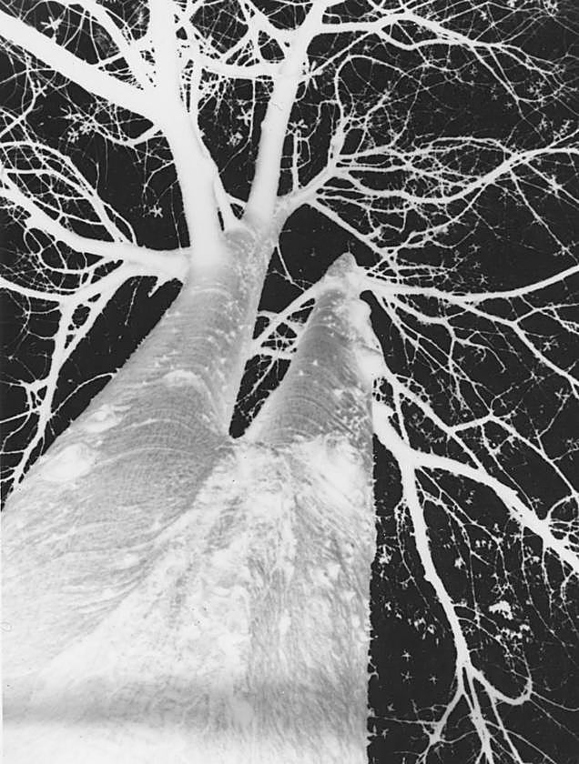 Una de las piezas de la muestra, en la galería S/T.