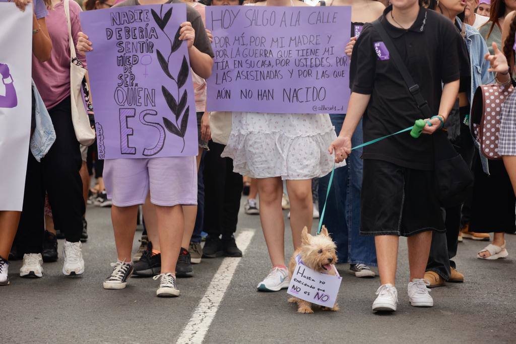 El feminismo canario se moviliza en la capital grancanaria