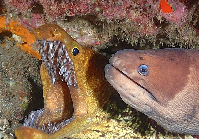 Mejor foto compacta, obra de Bonilla y López.