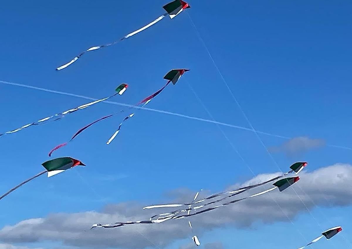 Imagen secundaria 1 - Cometas en solidaridad con Palestina