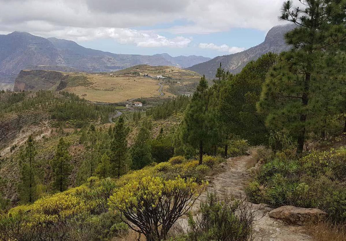 Imagen del camino real Artenara-Acusa.