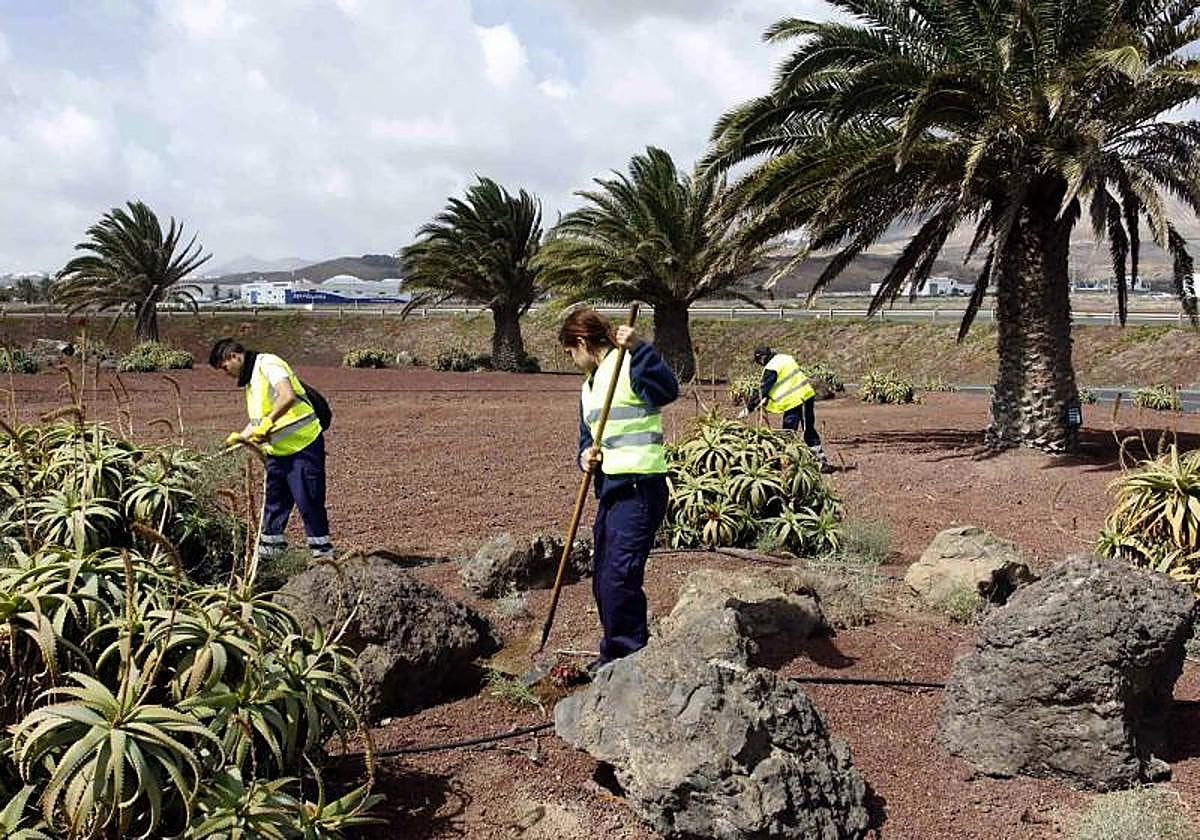 Trabajadores de un plan de empleo promovido por el Cabildo.