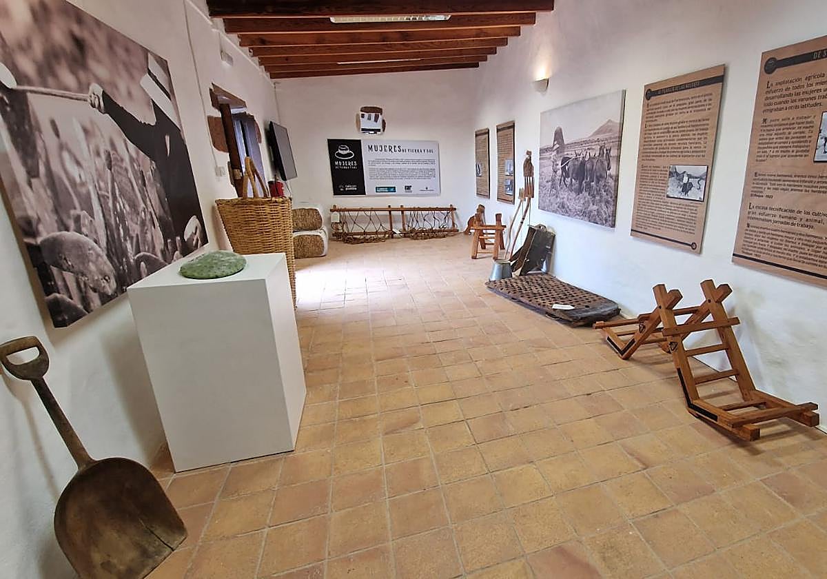 Detalle de la muestra.