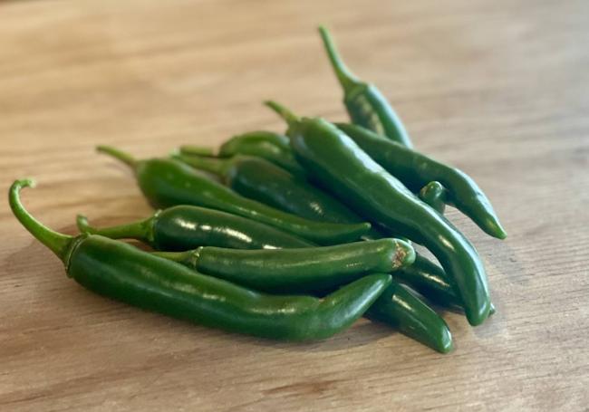 Chiles recién recolectados en Pepe Oil