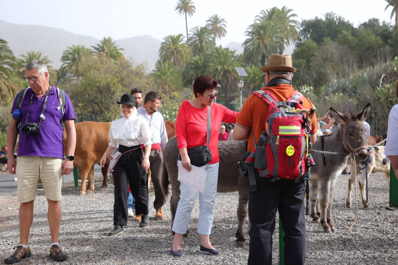 Las Fiestas de Santa Lucía, en imágenes