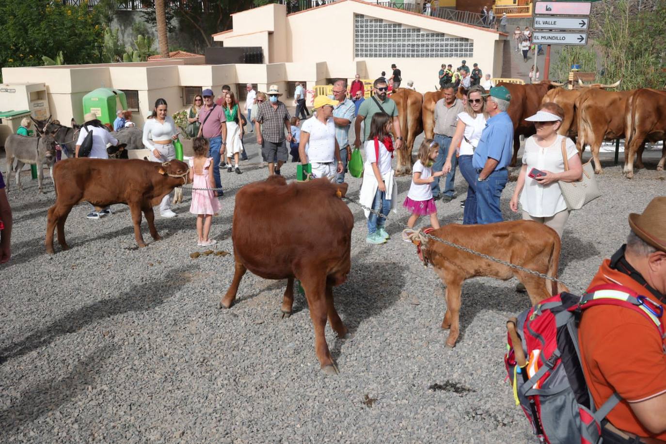 Las Fiestas de Santa Lucía, en imágenes