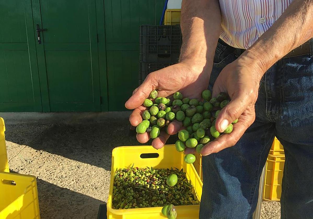 La cesta de la compra y un gobierno supuestamente de izquierdas