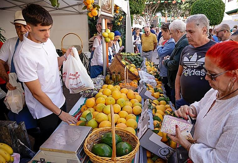 Algunas de las imágenes de este domingo en Telde.