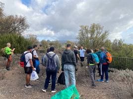 Voluntariado ambiental en Las Mesas, eliminación rabo de gato.