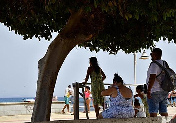 Varias personas se protegen bajo la sombra de un árbol en Arinaga durante una ola de calor.