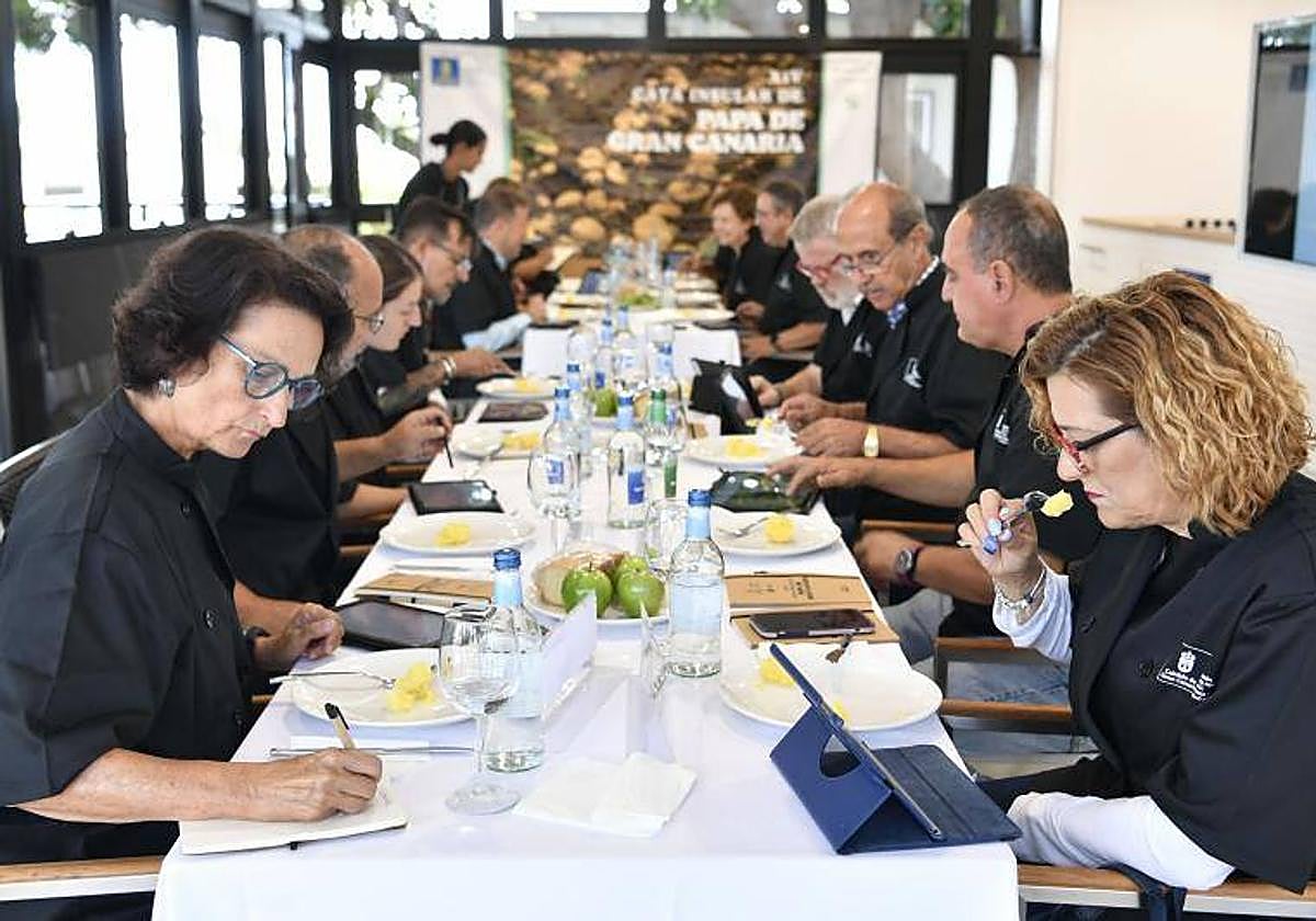 Imagen de la última cata insular de papas.