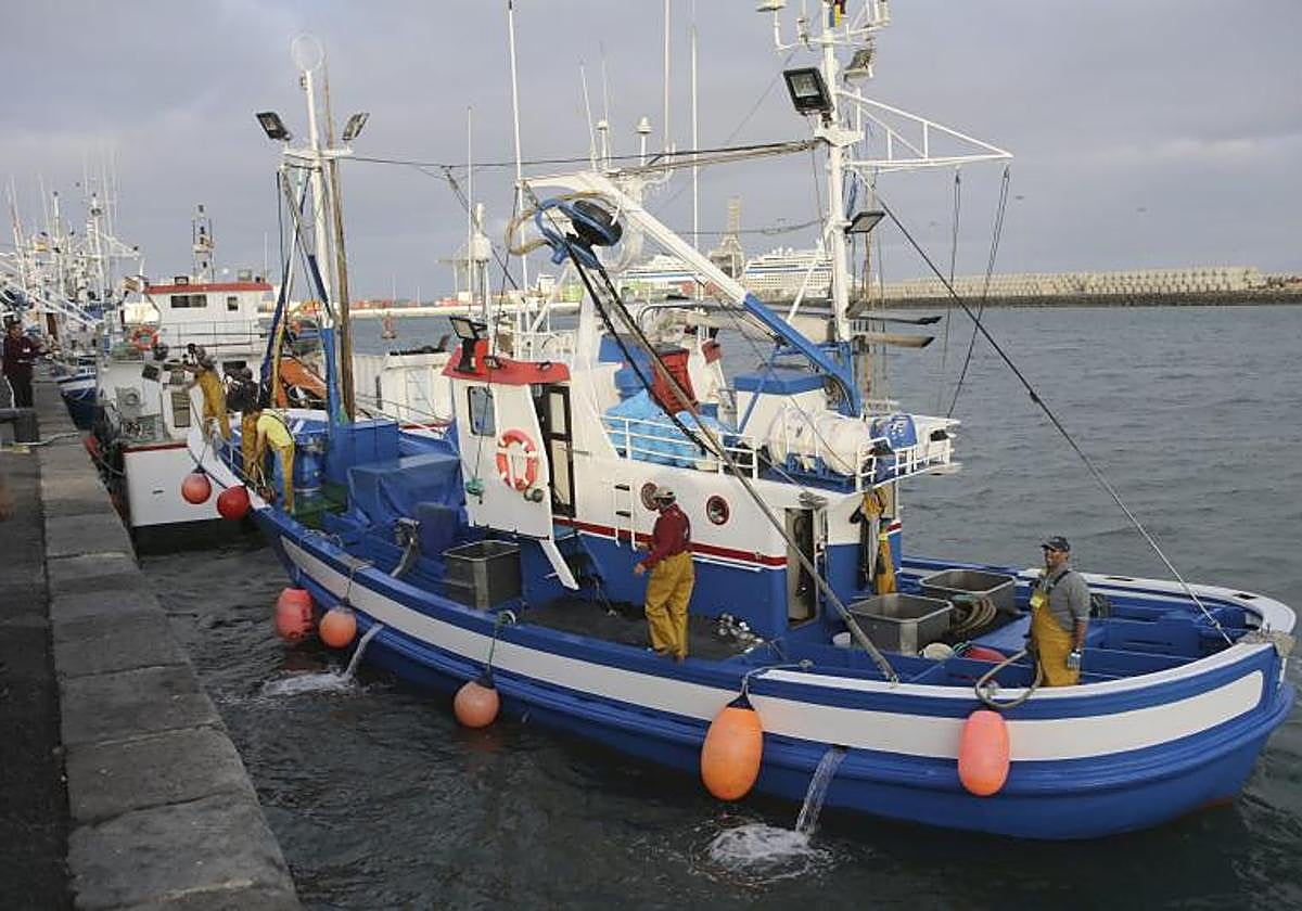 Imagen de archivo de descarga de atún rojo en Puerto Naos (Lanzarote).