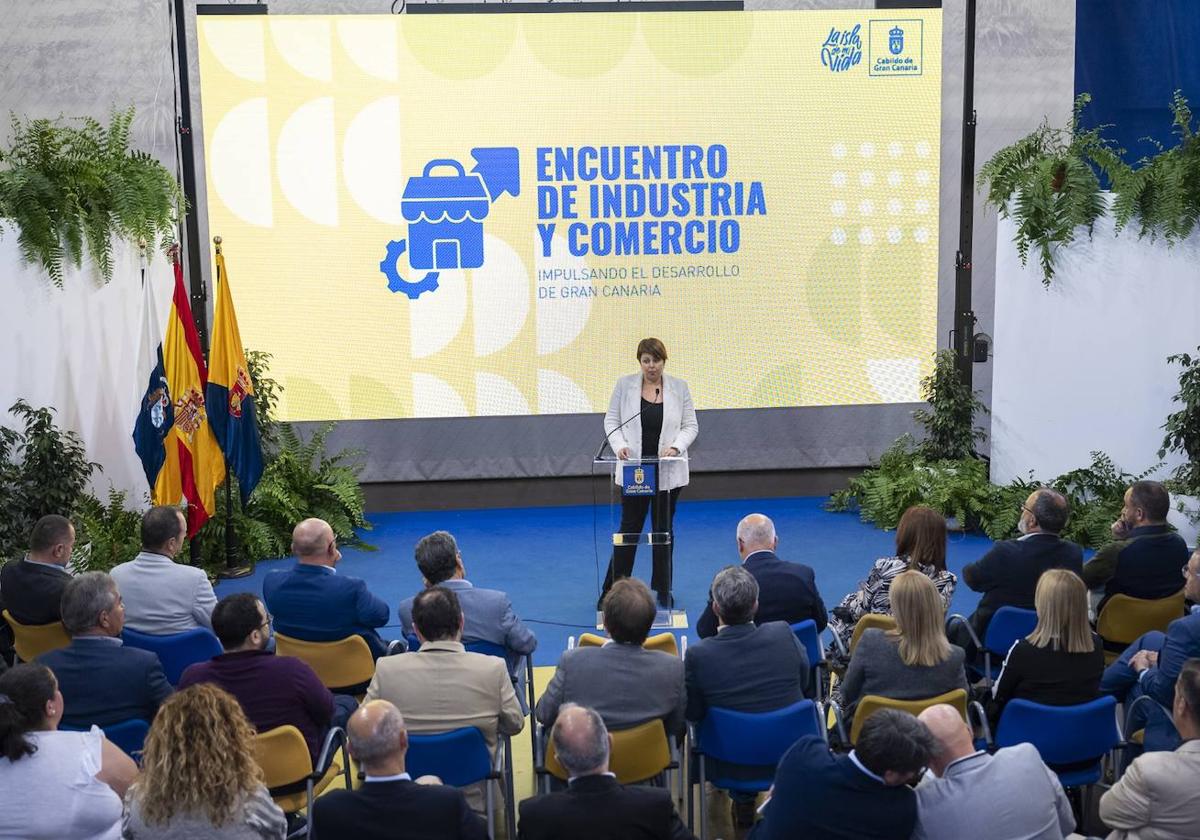 El Cabildo grancanario eleva en más de 6 millones las cuentas para Desarrollo Económico