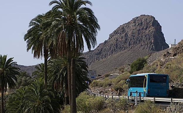 Una de las líneas de transporte público interurbano de Global circula por el interior de Gran Canaria. 