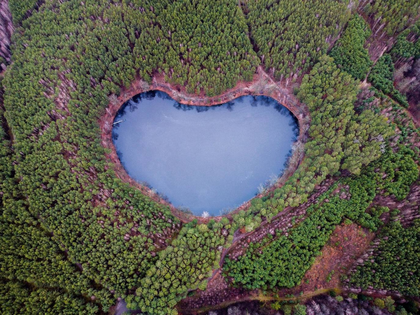 Fotografía aérea tomada con dron muestra el lago Czarne en la frontera de los municipios de Miedzyrzecz y Trzciel, en el oeste de Polonia. El lago reservorio de agua de pequeño tamaño se caracteriza por su inusual forma de corazón que solo es visible desde una posición elevada, como a vista de pájaro.