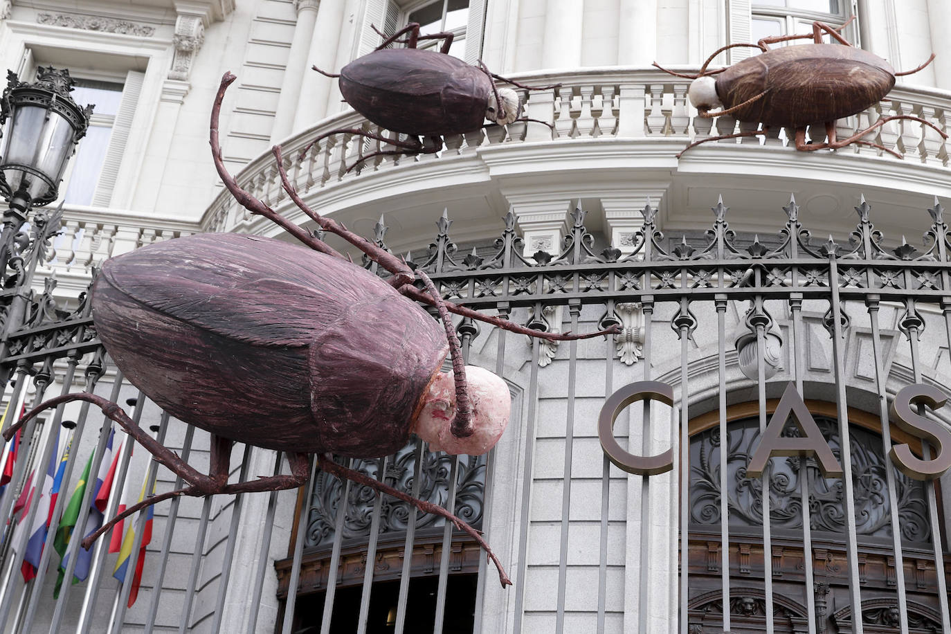 Vista de una de las seis cucarachas gigantes con cabeza de ser humano que forma parte del proyecto artístico "Sobrevivientes" del cubano Roberto Fabelo en el Palacio de Linares, sede de la Casa de America, en Madrid. 