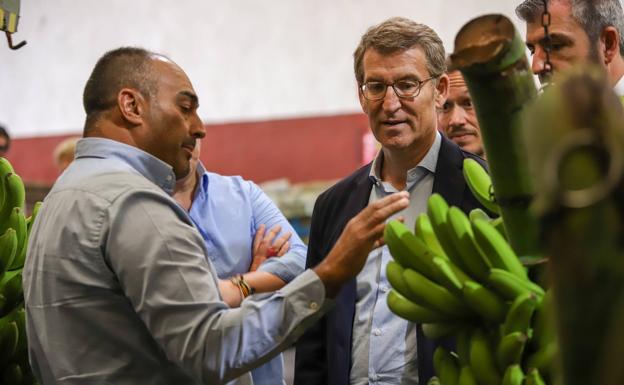 El presidente del Partido Popular, Alberto Núñez Feijoo, visita una cooperativa empaquetadora de plátanos en La Palma. 