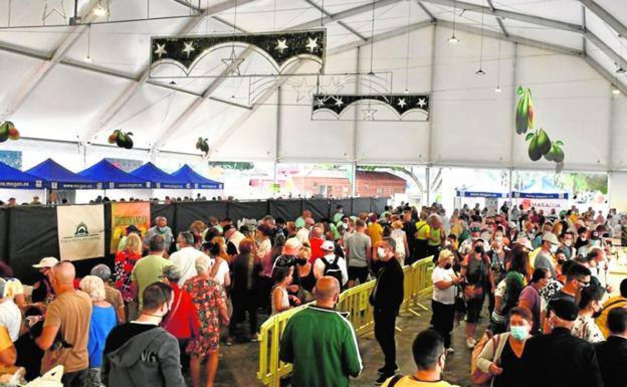 Imagen del interior de la carpa en la que se dará el concierto. 