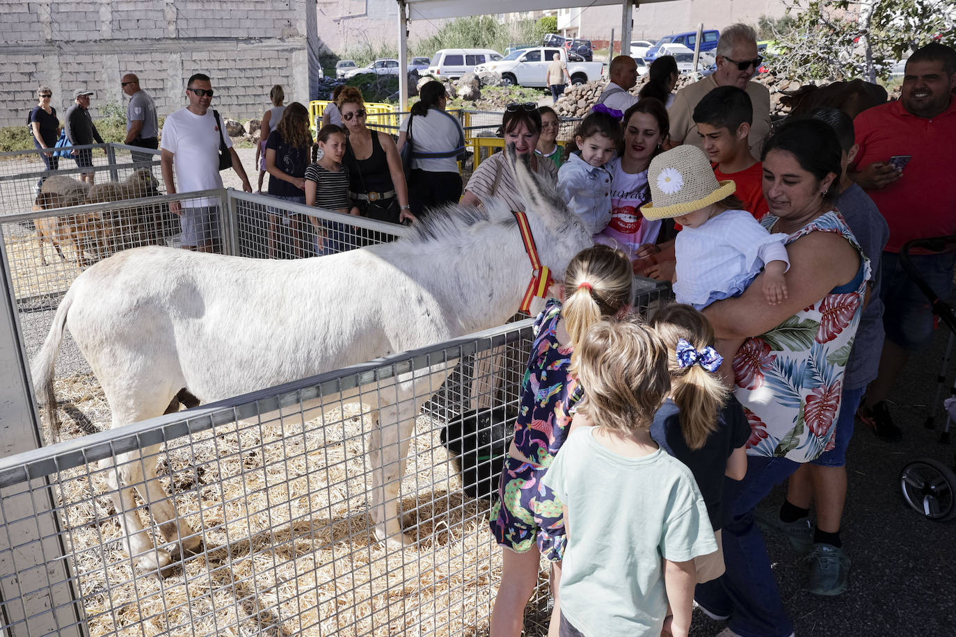 Fotos: La Feria del Sureste, el escaparate comercial que mejor retrata a la comarca