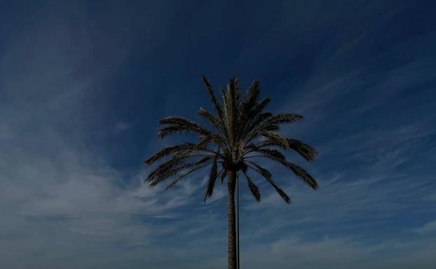 Para este miércoles, cielos poco nubosos y calima en Canarias