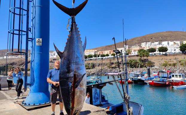 El ejemplar de atún rojo, tras ser izado, al fondo Tomás García aún a bordo del 'San Horacio'. 