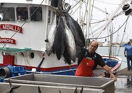 Actividad pesquera en Naos.