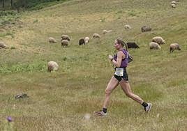 La próxima Entre Cortijos estrenará la modalidad de siete kilómetros, que estará abierta a categorías de formación