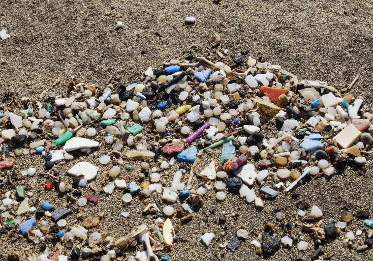 Imagen de los pélets presentes en la orilla de la playa de Famara, en Lanzarote, y muestreados en 2015.
