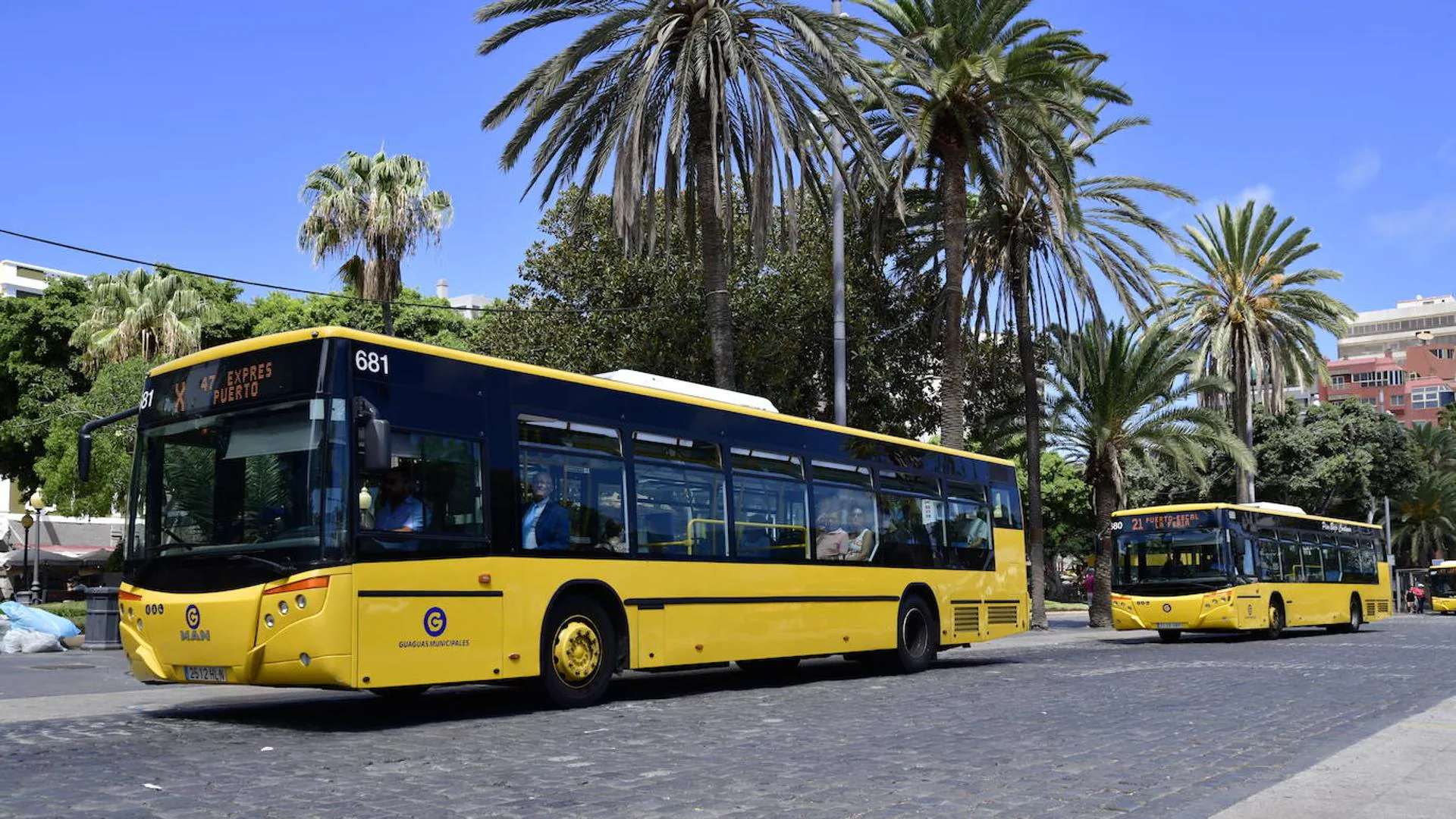 El transporte gratuito en guagua exigirá un mínimo de 30 viajes por  trimestre | Canarias7