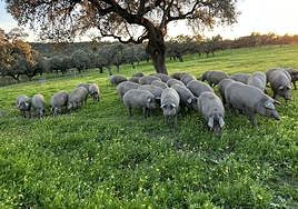 Un grupito buscando el último bocado y la cama.