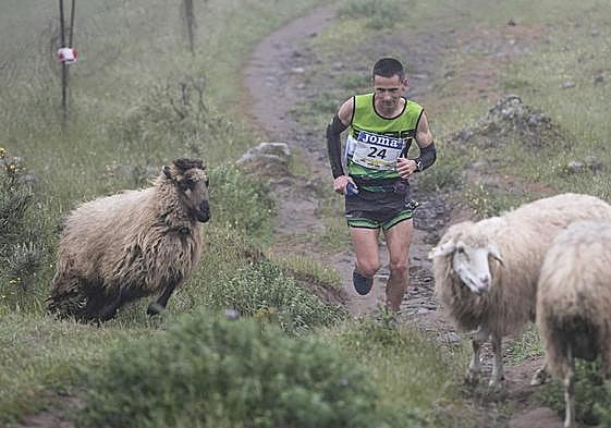 Participantes en una edición de Entre Cortijos.