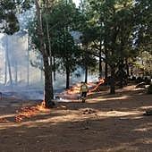 Situación inusual en Canarias: prealerta por incendios forestales en enero