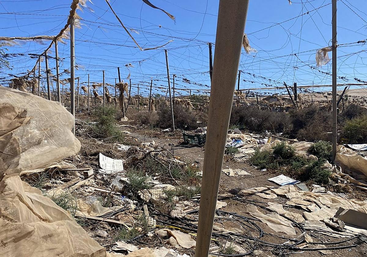 Invernaderos abandonados en el sureste. El plan de limpieza en marcha busca eliminar el impacto negativo que producen en el paisaje de la comarca.