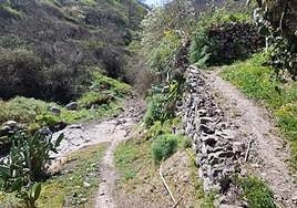 Ruta del sendero del barranco Madrelagua, Valleseco.