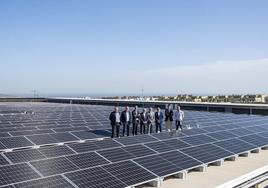 Personal técnico en las instalaciones de la Ciudad Deportiva de Siete Palmas.