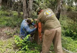 Biólogos desarrollando trabajo de campo en el proyecto de conservación de LPF con el Guacamayo Barbazul.