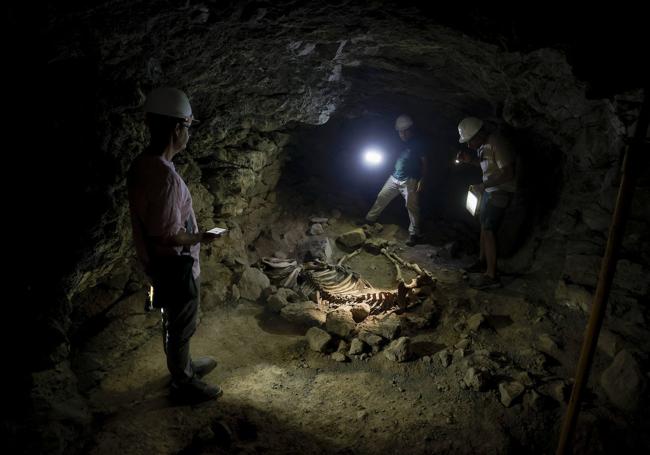 Al fondo, Abel Galindo y Bentejuí Motas iluminan los restos del équido que fue enterrado en una de las cuevas.