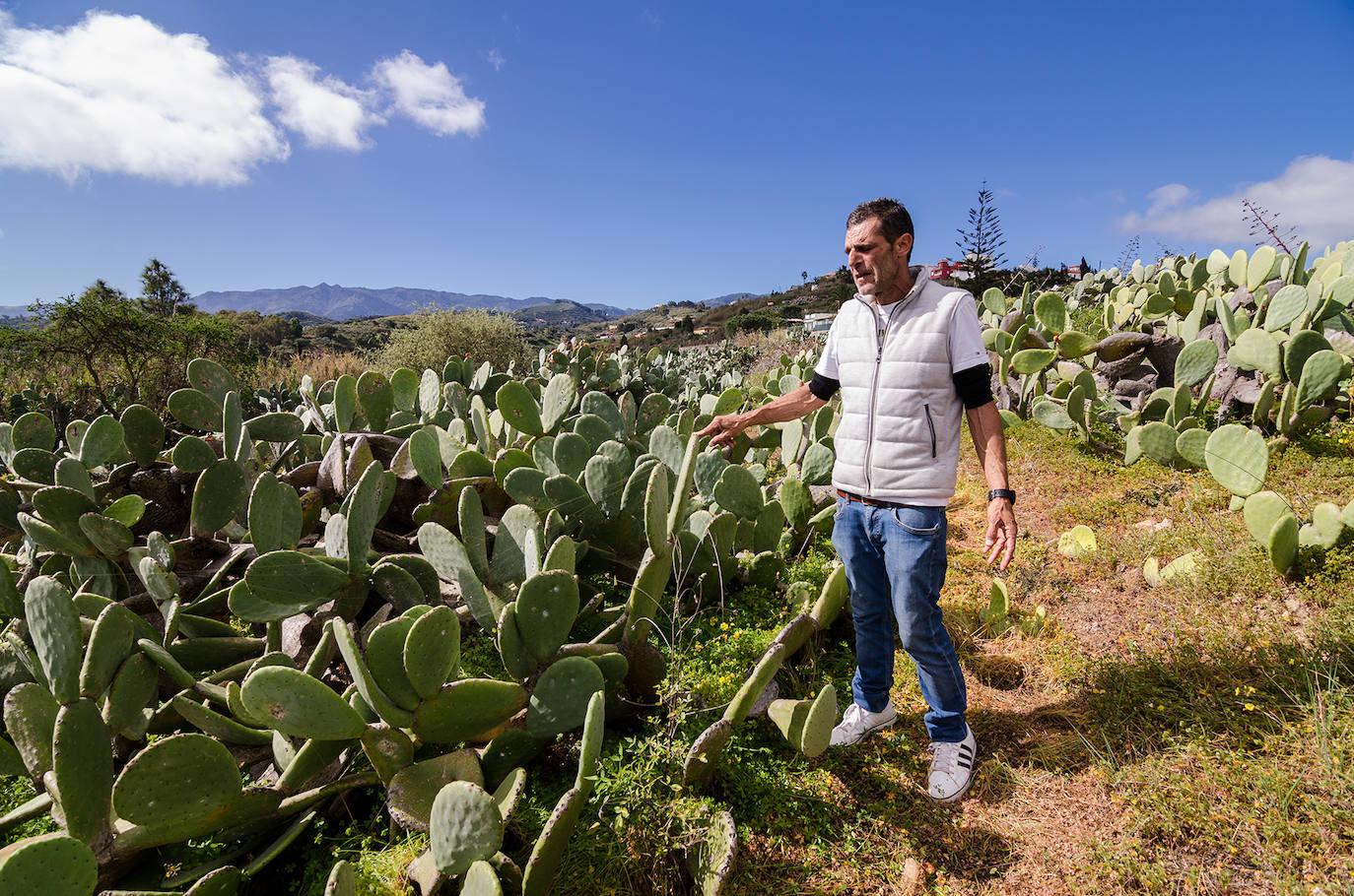 Visita a la fábrica de BebeTuno, en imágenes